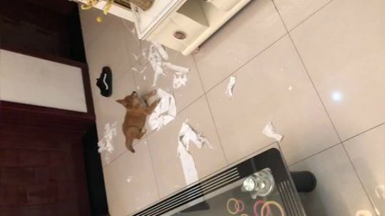 你好，我崩溃你随意。