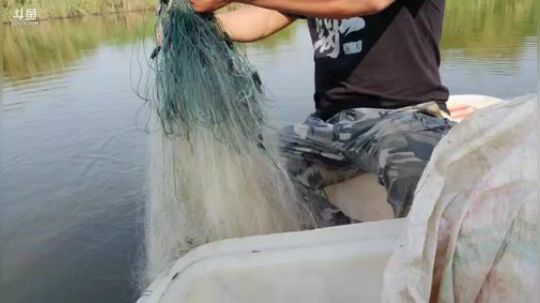 12:00上线，双倍亲密度大家多升级粉丝 2019-09-27 15点场