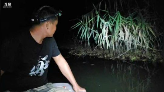 12:00上线，双倍亲密度大家多升级粉丝 2019-09-27 20点场