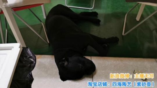 铁血丶苟且君发布了一个斗鱼视频2019-10-04