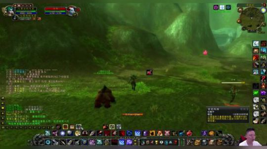 魔兽世界怀旧服：暴雪毁了一只又一只神宠！这版本的猩猩不说了诶