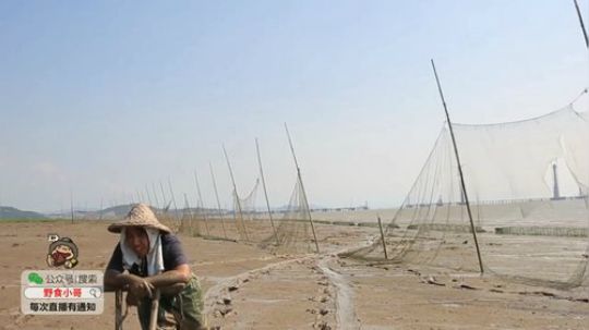 我在斗鱼看野食小哥直播美食