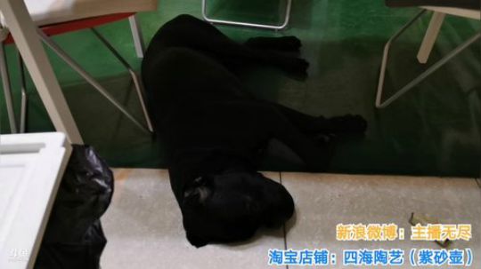 铁血丶苟且君发布了一个斗鱼视频2019-10-04