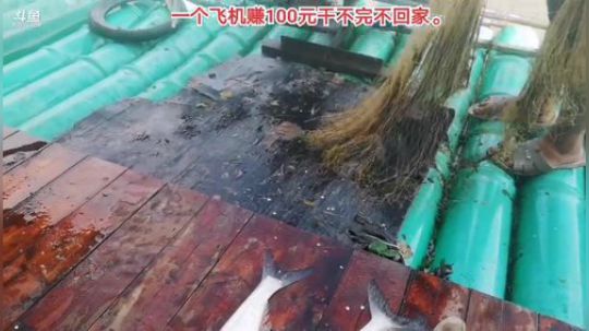 丿Good丶发布了一个斗鱼视频2019-10-05