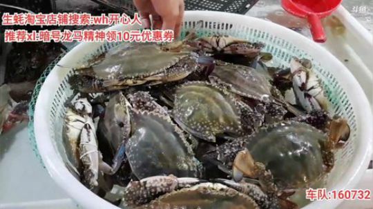 西北老狼哥哥发布了一个斗鱼视频2019-10-05