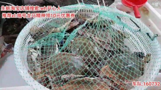 西北老狼哥哥发布了一个斗鱼视频2019-10-05