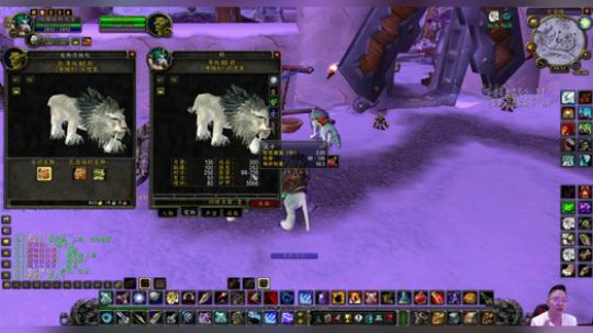 魔兽世界怀旧服：猎人不会选择宠物？听我一言，这样选准没错！