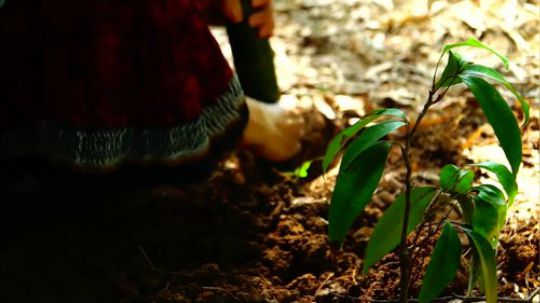 【荒野少女】01. 建造一个庇护所