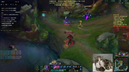 白金随便C的伊芙琳 2019-10-05 11点场