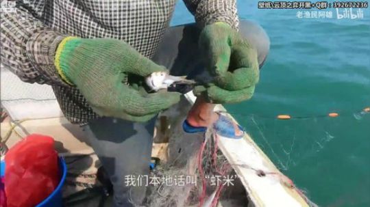 胖胖OB：欧服金咕咕\RNG乌兹\IG 2019-10-07 03点场