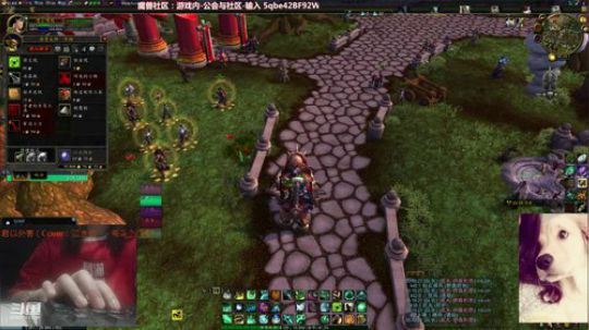 # 狗爷 - 脊椎痛 2019-10-01 04点场