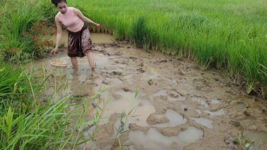 越南柬埔寨小姐姐捕鱼系列