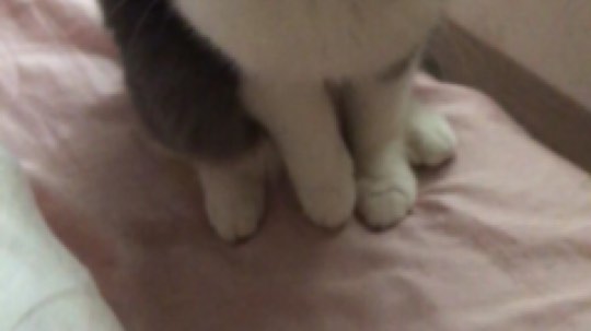 蛇门美杜莎发布了一个斗鱼视频2019-10-07