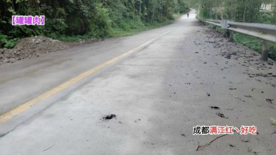 上山做饭(≧ω≦)/ 2019-10-07 11点场