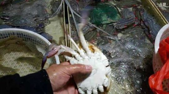 风里雨里，海鲜走起！ 2019-10-07 14点场