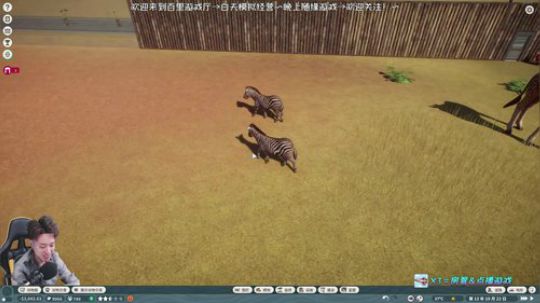 动物园之星~★ 2019-10-07 21点场