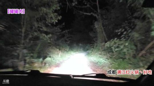 9点半开播怼烽(≧ω≦)/ 2019-10-08 21点场