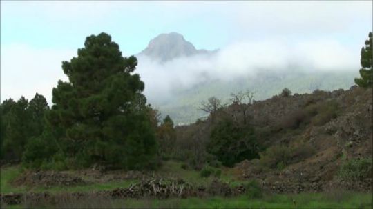 【丛林露营】一个人的荒野和烹饪 41. 找到板栗