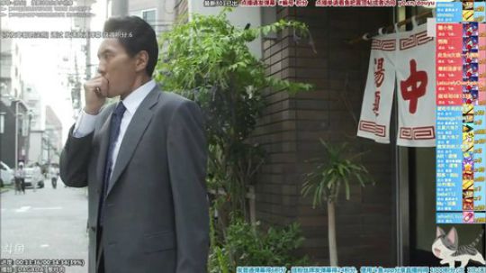 我在斗鱼看懒猫是只喵直播一起看