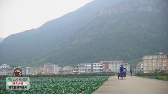 我在斗鱼看野食小哥直播美食