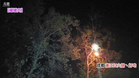 9点半开播怼烽(≧ω≦)/ 2019-10-08 22点场