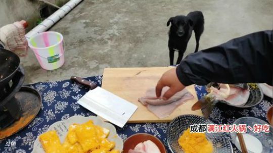 12:30上山做饭(⊙o⊙) 2019-10-09 16点场