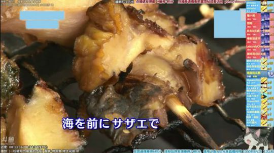 我在斗鱼看懒猫是只喵直播一起看