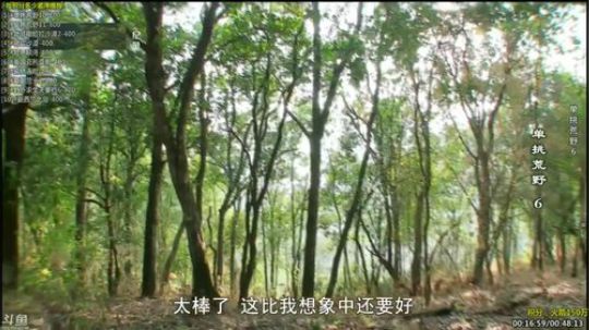 护法惊丶发布了一个斗鱼视频2019-10-10