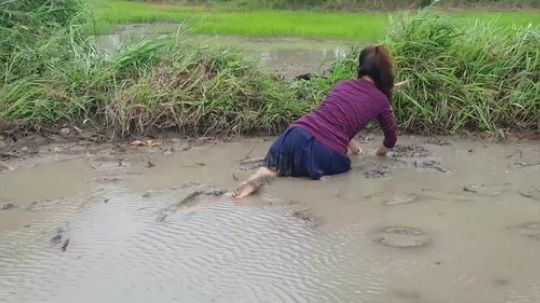 越南柬埔寨小姐姐捕鱼系列