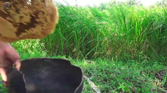 【荒野虫哥】~爆浆的蜂巢~