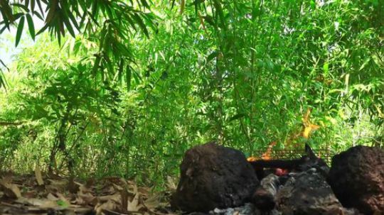 【荒野虫哥】~石板猪肝