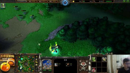 我在斗鱼看大帝LioN直播魔兽争霸