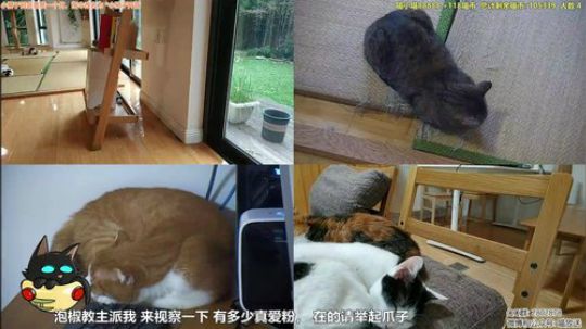 不再畏惧丶为愛低头发布了一个斗鱼视频2019-10-12