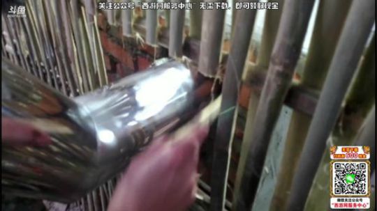 睿智兄弟想出国_前传 2019-10-12 17点场