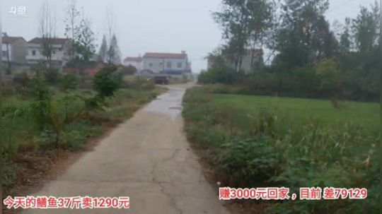 不再畏惧丶为愛低头发布了一个斗鱼视频2019-10-12