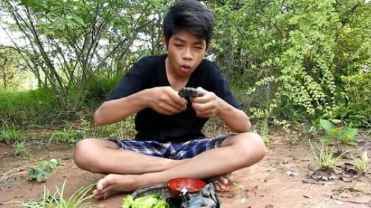 【失踪猴子回归】 吃乌鸦