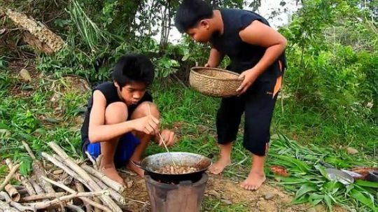 【失踪猴子回归】~蘑菇烧鸡杂~