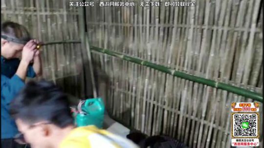 黑板君爱喝酸奶发布了一个斗鱼视频2019-10-12