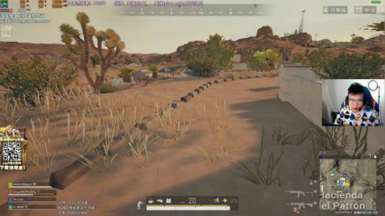 我在斗鱼看pigff直播绝地求生