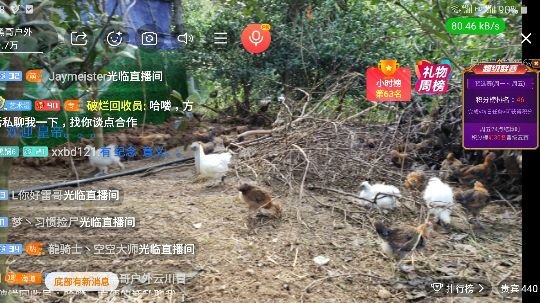 2挑一摔跤