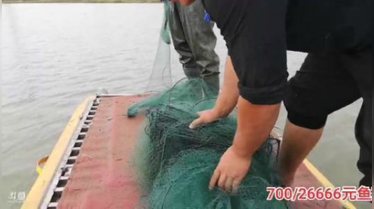 科头溜子发布了一个斗鱼视频2019-10-13