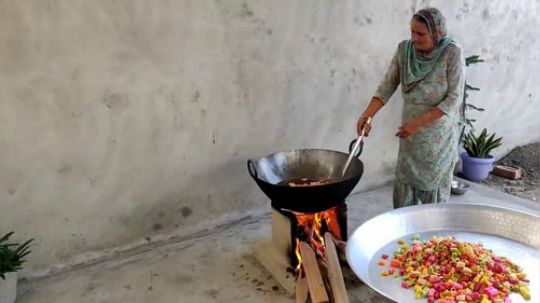 印度老奶奶-手指脆皮虾片