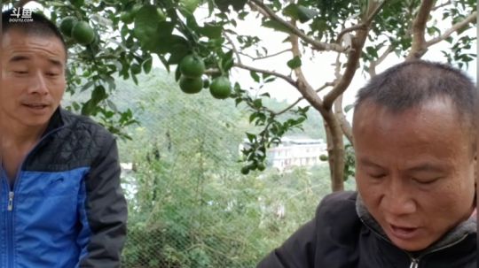 2比一摔跤比赛
