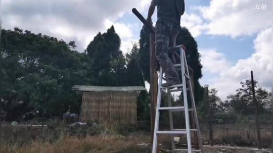 哆啦爱梦梦发布了一个斗鱼视频2019-10-16