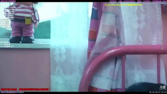 户外遛狗王飞哥发布了一个斗鱼视频2019-10-16