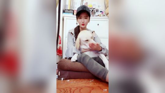 登月团丶离去发布了一个斗鱼视频2019-10-16