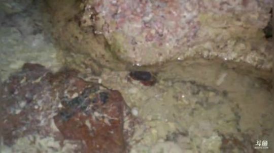 睿智兄弟_闯涠洲岛 2019-10-17 20点场