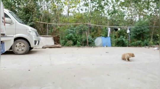 12点开播 337852 2019-10-14 12点场