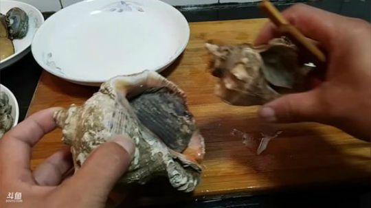 风里雨里，海鲜走起。 2019-10-16 23点场