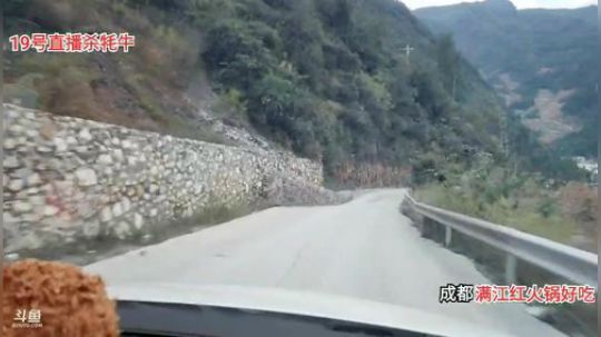 家里后山挖野生山药(≧ω≦)/ 2019-10-17 17点场